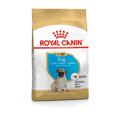Royal Canin Pug Carlino Puppy