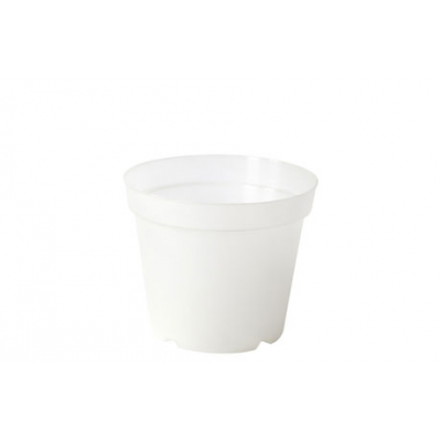 Plastecnic Vaso Orchidea Alabastro