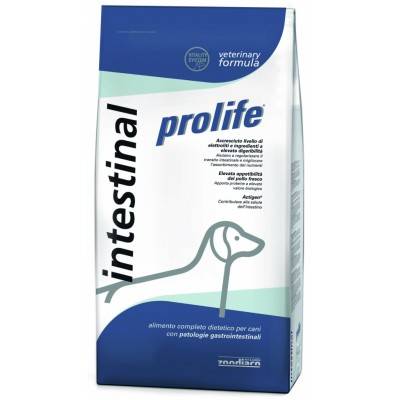 Prolife Veterinary Formula Intestinal