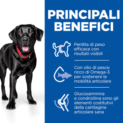 Hill's Science Plan Perfect Weight & Active Mobility Large Breed Adult Alimento per Cani con Pollo 12kg