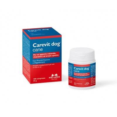 Caravit Dog 100cpr
