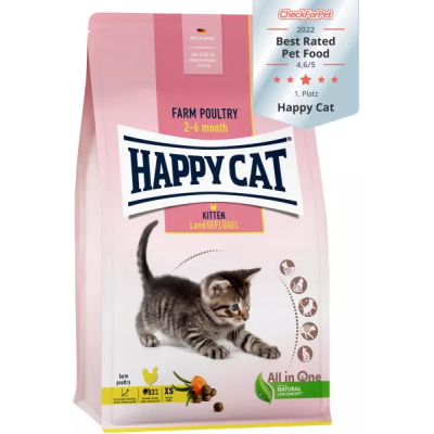 Happy Cat Kitten Pollo