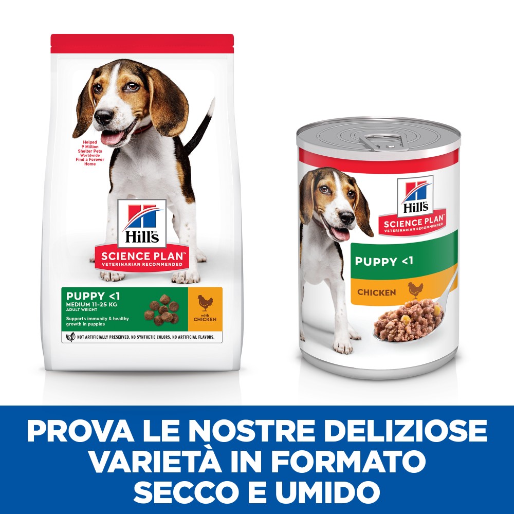 Hill's Science Plan Adult Light Original cibo per cani - in