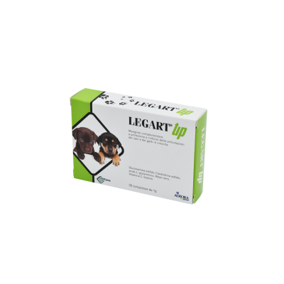 Aurora Biofarma Legart Up