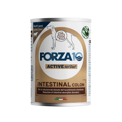 Forza 10 Dog Intestinal Colon Agnello 390g