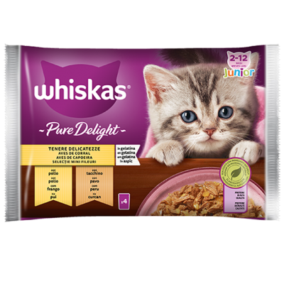 Whiskas Pure Delight Tenere Delicatezze Junior 4x85g