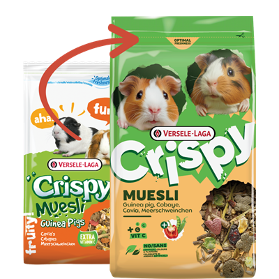 Versele Laga Crispy Muesli Cavia 850g