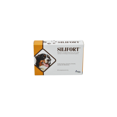 Aurora Biofarma Silifort 30 Compressse